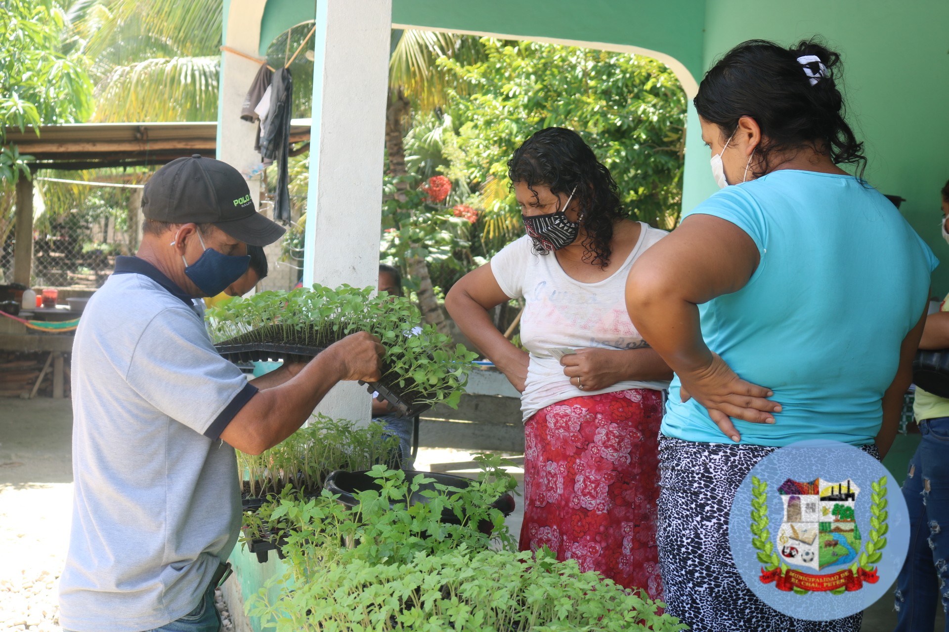 ENTREGA DE PILONES Y SEMILLAS