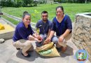 La Municipalidad de El Chal por medio de la Sección de Agricultura Recursos Naturales y de Medio Ambiente – SARNMA – recibió la donación de5Kg de semilla de la especie de Caoba (Swietenia Macrophylla) por parte del Instituto Nacional de Bosques – INAB – esto con el propósito de fomentar la producción de plantas en el viveros municipal.