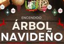 INAUGURACIÓN ÁRBOL NAVIDEÑO EL CHAL