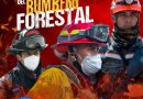 DIA DEL BOMBERO FORESTAL