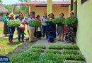 Promoviendo la Agricultura Sostenible y el Empoderamiento de las Mujeres en El Chal