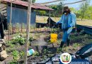 Asistencia Técnica a Huertos Familiares