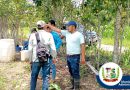 Planes de Finca y Agroforestales en Santa Amelia