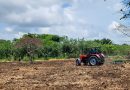 Apoyo a Mujeres Organizadas con Mecanización de Tierras para la Producción de Maní.