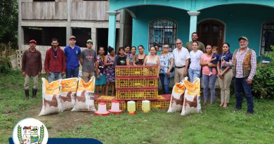 ENTREGA DE GALLINAS PONEDORAS EL CHAL, PETÉN.