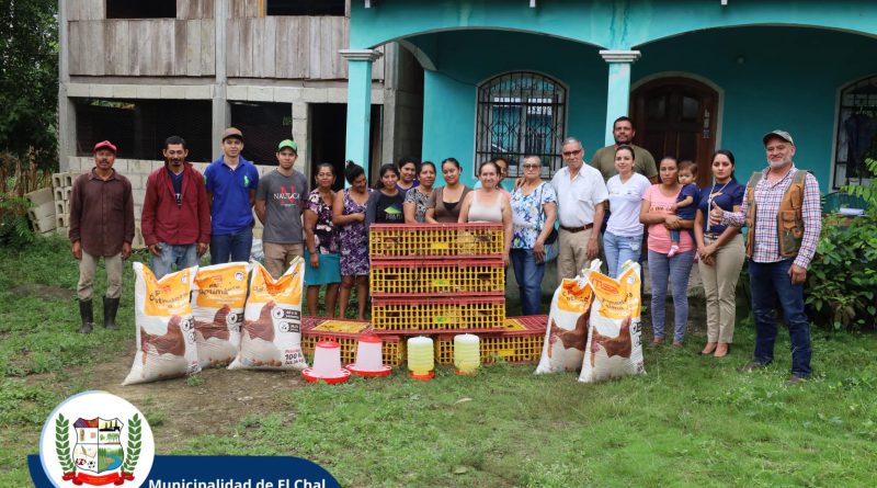 ENTREGA DE GALLINAS PONEDORAS EL CHAL, PETÉN.