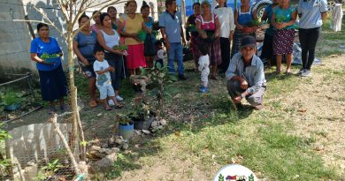 MUJERES ORGANIZADAS DEL CASCO URBANO RECIBEN HORTALIZAS MUJERES ORGANIZADAS DEL CASCO URBANO RECIBEN HORTALIZAS