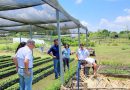 VISITA DE LA FAO DESTACA LABOR AMBIENTAL EN EL VIVERO MUNICIPAL