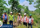 ASISTENCIA TÉCNICA EN PLANTACIÓN FORESTAL