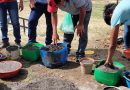IMPULSANDO LA EDUCACIÓN AMBIENTAL Y AGRÍCOLA EN LA JUVENTUD