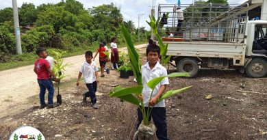 JORNADA DE REFORESTACION EN CASERIO MOJARAS I JORNADA DE REFORESTACION EN CASERIO MOJARAS I