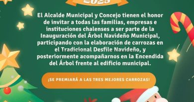 DESFILE NAVIDEÑO DESFILE NAVIDEÑO