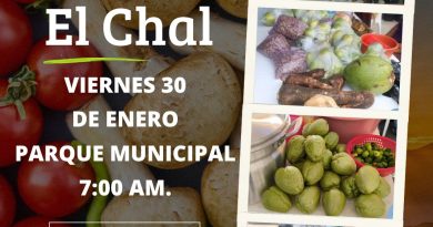 MERCADITO SOLIDARIO MERCADITO SOLIDARIO