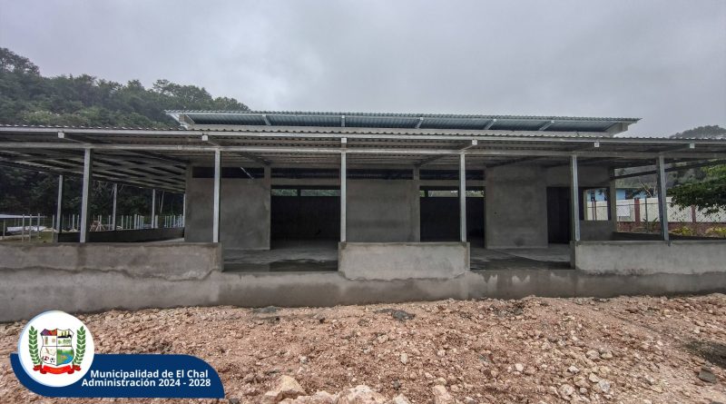 ALIANZA CON FAO FORTALECE EL VIVERO MUNICIPAL ALIANZA CON FAO FORTALECE EL VIVERO MUNICIPAL