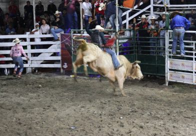 FINAL DE RODEO FERIA EL CHAL 2026