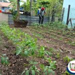 HUERTOS FAMILIARES EN EL CHAL