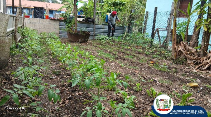 HUERTOS FAMILIARES EN EL CHAL