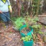 HUERTOS EN CASERIO EL QUETZAL Y SAN JUAN, EL CHAL