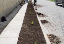 MÁS ÁREAS VERDES PARA EL CHAL
